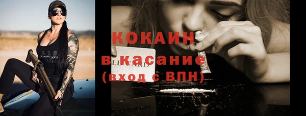 винт Мегион