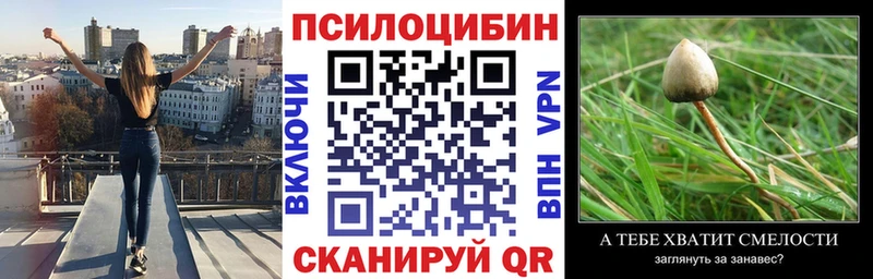 Псилоцибиновые грибы Cubensis  Монино 
